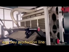 자동 왕복 난좌 기계 과일 트레이 성형기